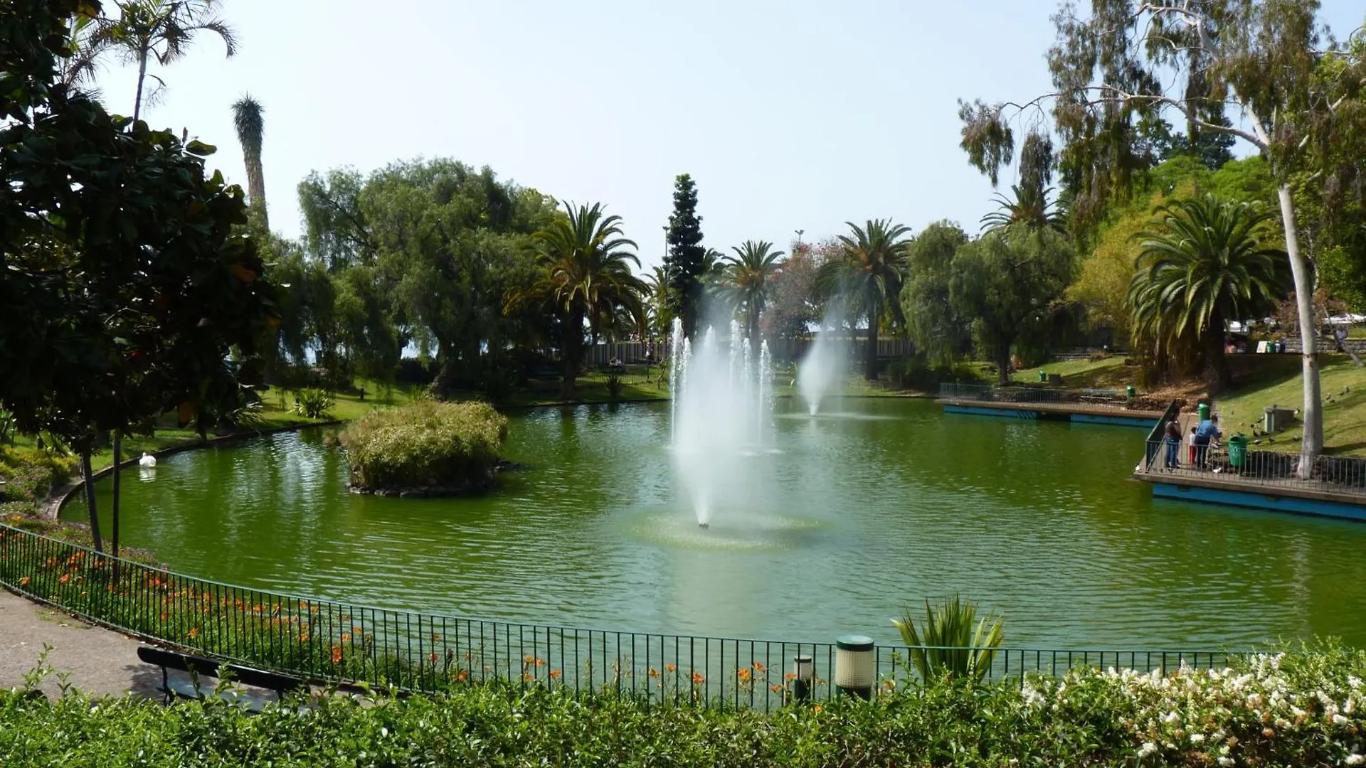 Contatti di Studio Marina By Madeira Best Apartments